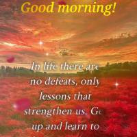 In life there are no defeats, only lessons that strengthen us. Get up and learn to fight with more resilience. Good morning!