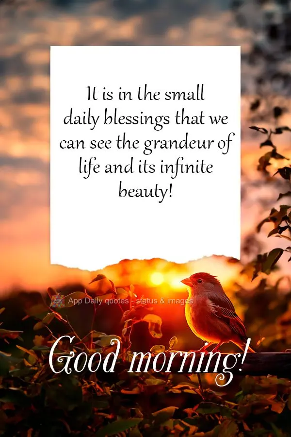 It is in the small daily blessings that we can see the grandeur of life and its infinite beauty! Good morning!