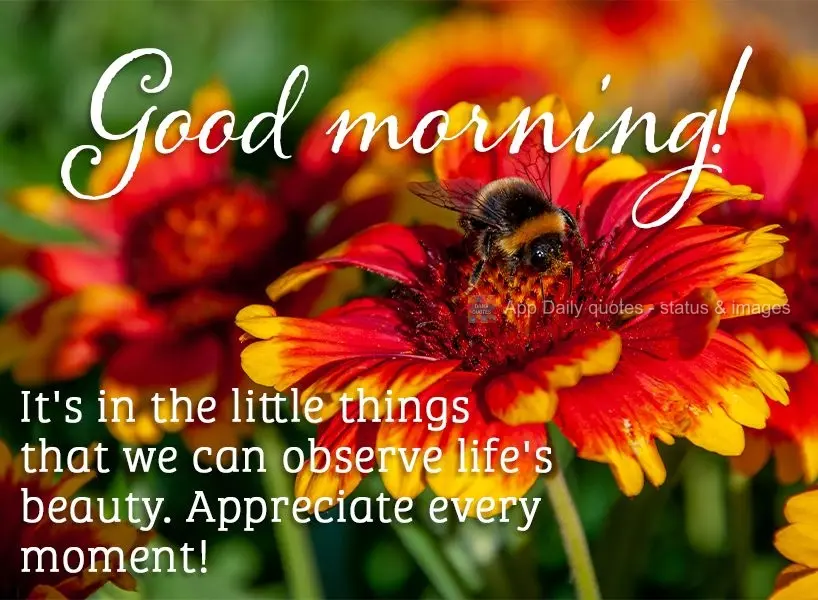 It's in the little things that we observe life's beauty. Appreciate every moment! Good morning!