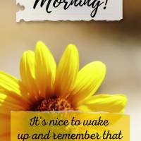 It's nice to wake up and remember that we have been given another chance to be happy and grateful for all of this. Good morning!