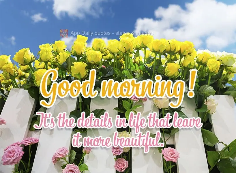 It's the details in life that make it more beautiful. Good morning!