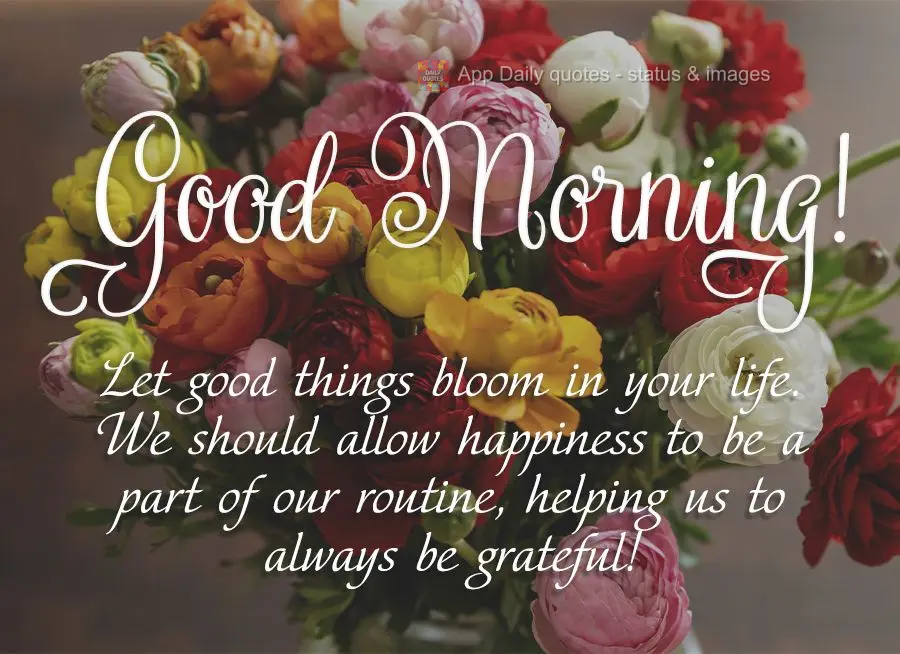 Let good things blossom in your life. We should allow happiness to be a part of our routine, helping us to always be grateful! Good morning!