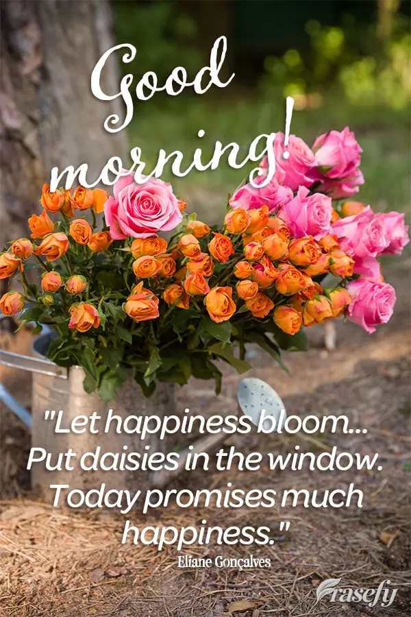 "Let happiness bloom... Put daisies in the window. Today promises much happiness." Good morning! Eliane Gonçalves