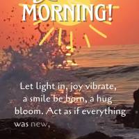Let light in, let joy vibrate, let a smile be born, a hug bloom. Act as if everything were new, as if everything were unique, live today as if it were th...
