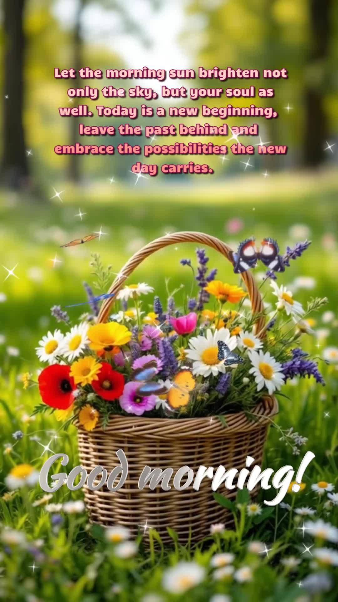 Let the morning sun brighten not only the sky, but your soul as well. Today is a new beginning, leave the past behind and embrace the possibilities the n...