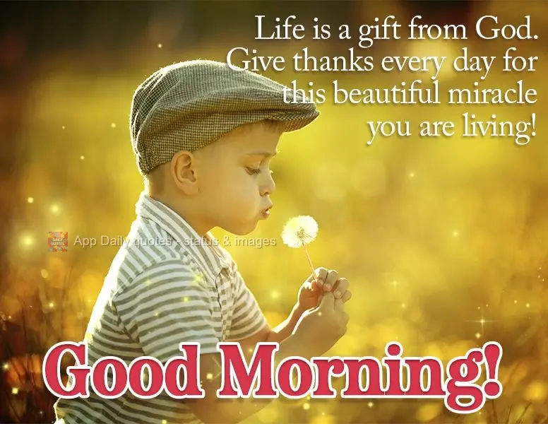 Life is a gift from God. Give thanks every day for this beautiful miracle you are living! Good morning!