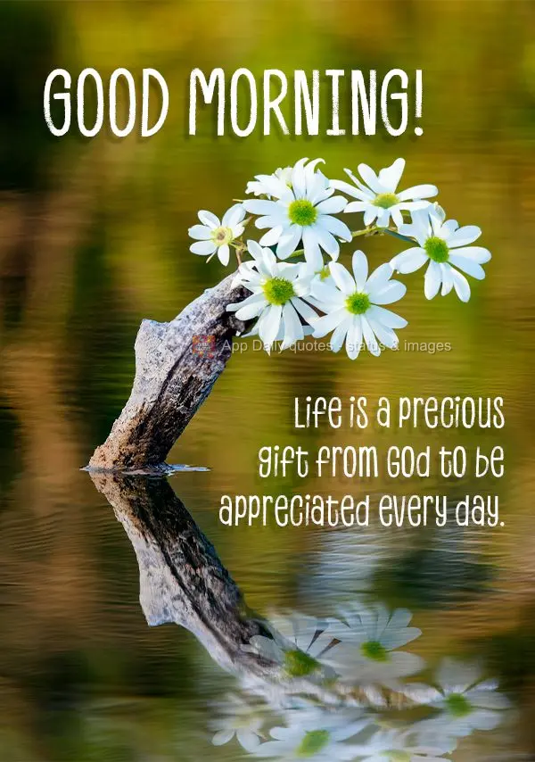 Life is a precious gift from God to be appreciated every day. Good morning!