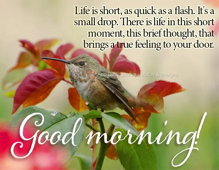 Life is short, as quick as a flash. It's a small drop. There is life in this short moment, this brief thought, that brings a true feeling to your door. G...