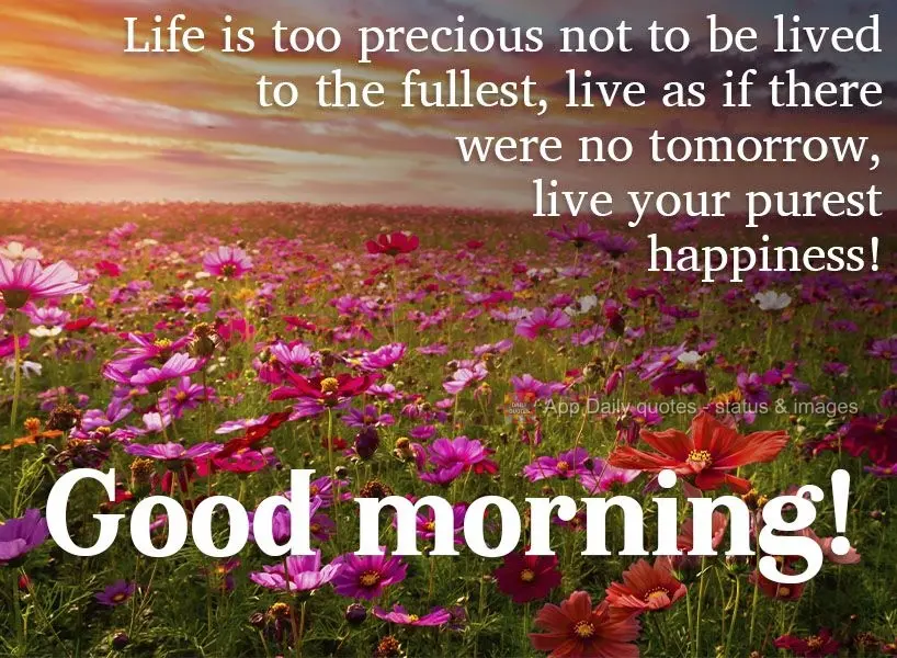 Life is too precious not to be lived to the fullest. Live as if there were no tomorrow. Live your purest happiness!  Good morning! 