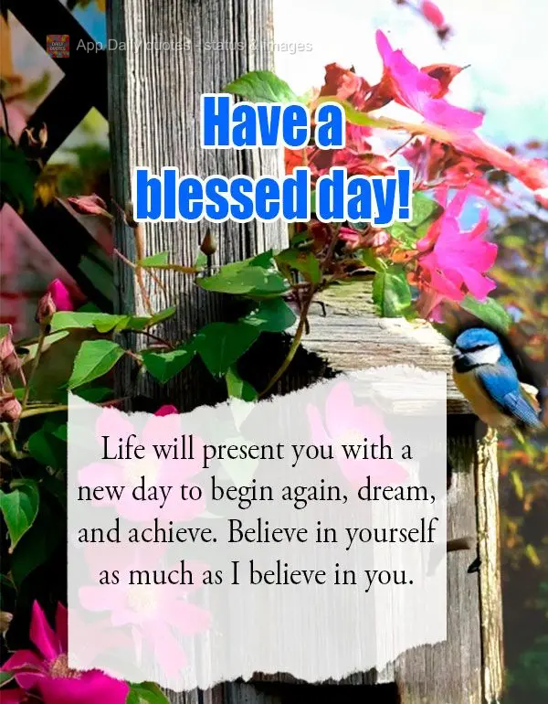 Life will present you with a new day to begin again, dream, and achieve. Believe in yourself as much as I believe in you.  Have a blessed day!