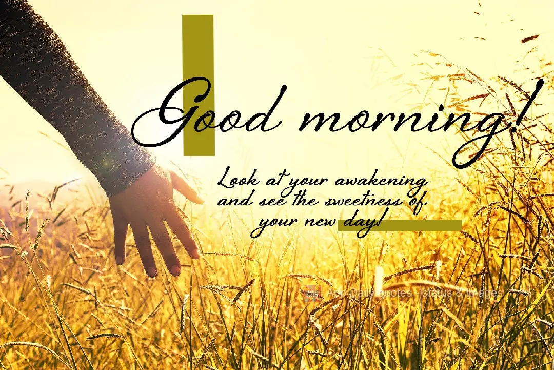 Look at your return and see the sweetness of your new day! Good morning!