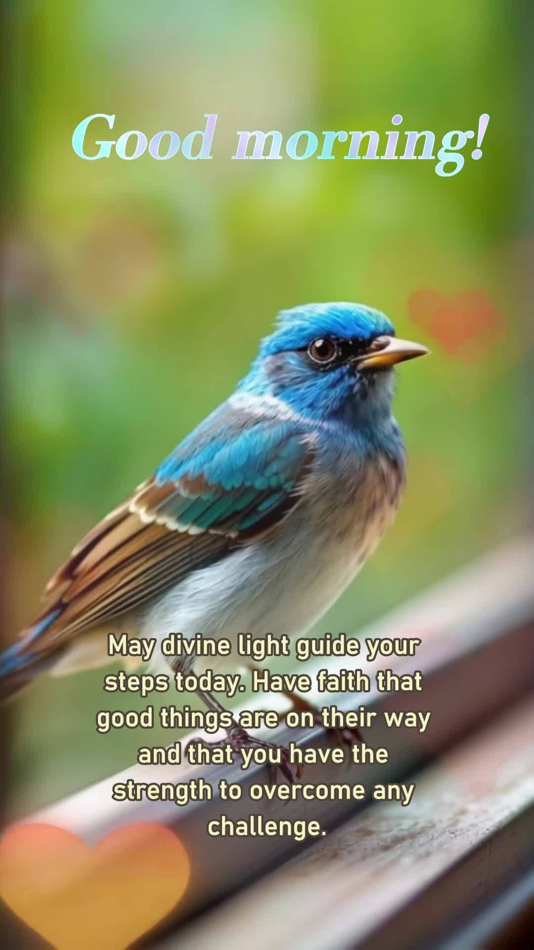 May divine light guide your steps today. Have faith that good things are on their way and that you have the strength to overcome any challenge. Good morn...