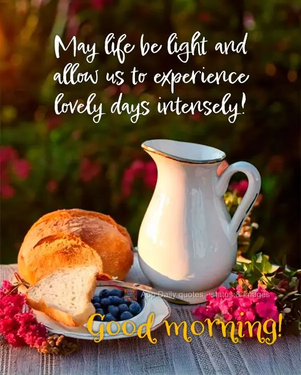 May life be light and allow us to experience lovely days intensely! Good morning!