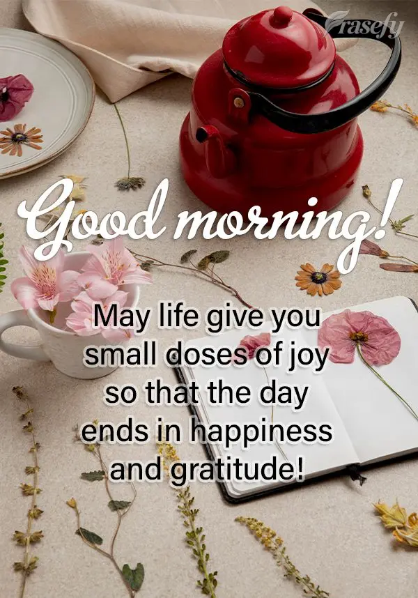 May life give you small doses of joy so that the day ends in happiness and gratitude! Good morning!