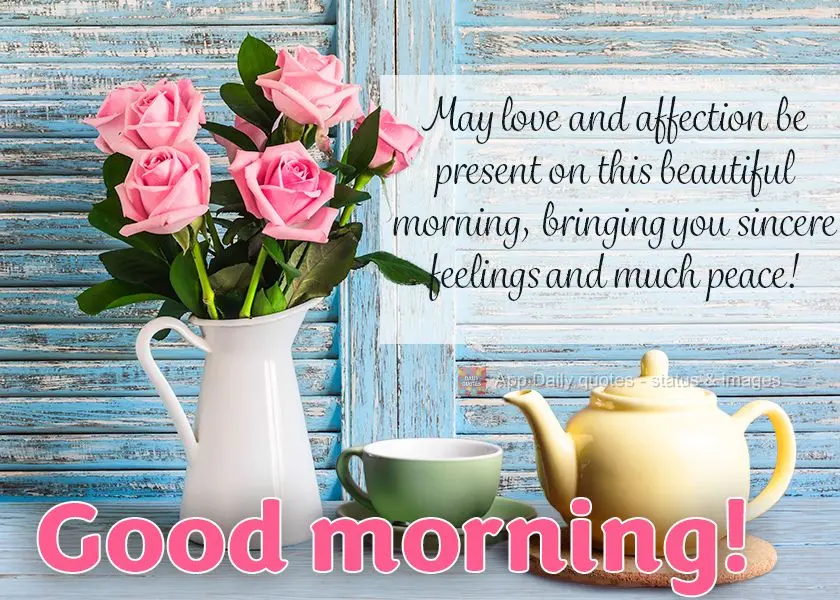 May love and affection be present on this beautiful morning, bringing you sincere feelings and much peace! Good morning!