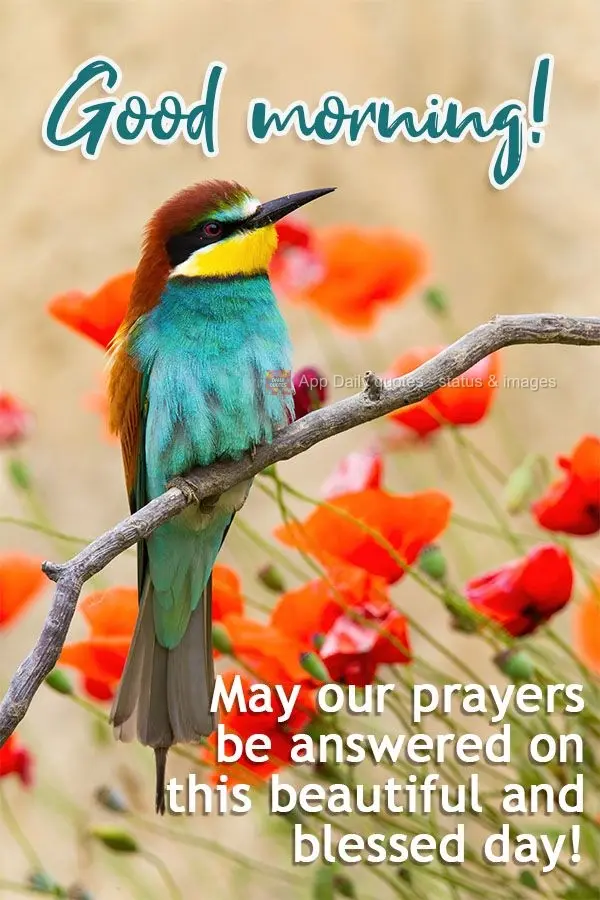 May our prayers be answered on this beautiful and blessed day! Good morning!