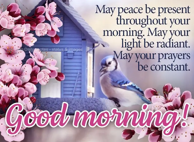 May peace be present throughout your morning. May your light be radiant. May your prayers be constant. Good morning!