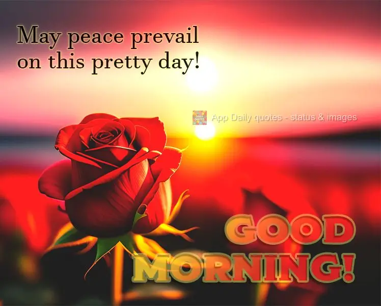 May peace prevail on this pretty day! Good morning!