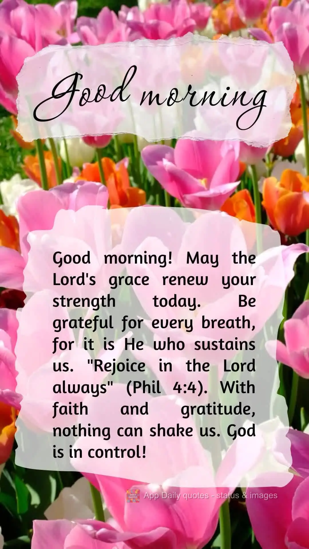 Good morning! May the Lord's grace renew your strength today. Be grateful for every breath, for it is He who sustains us. "Rejoice in the Lord always" (P...
