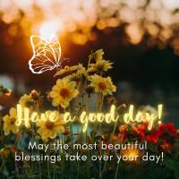 May the most beautiful blessings take over your day! Have a good day!