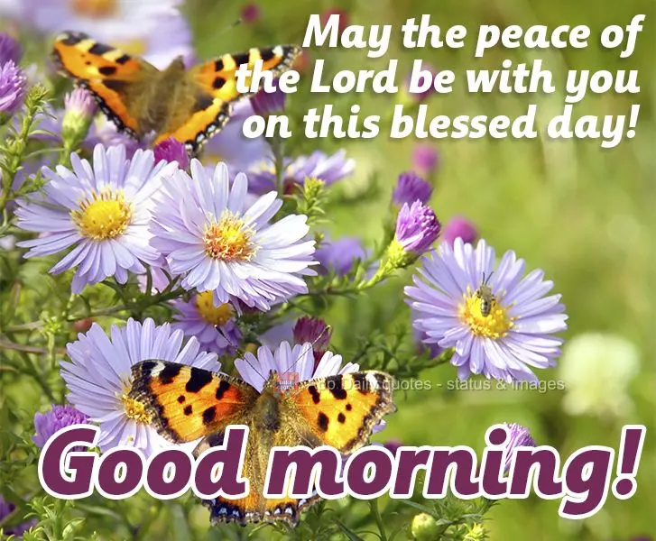 May the peace of the Lord be with you on this blessed day! Have a good day!