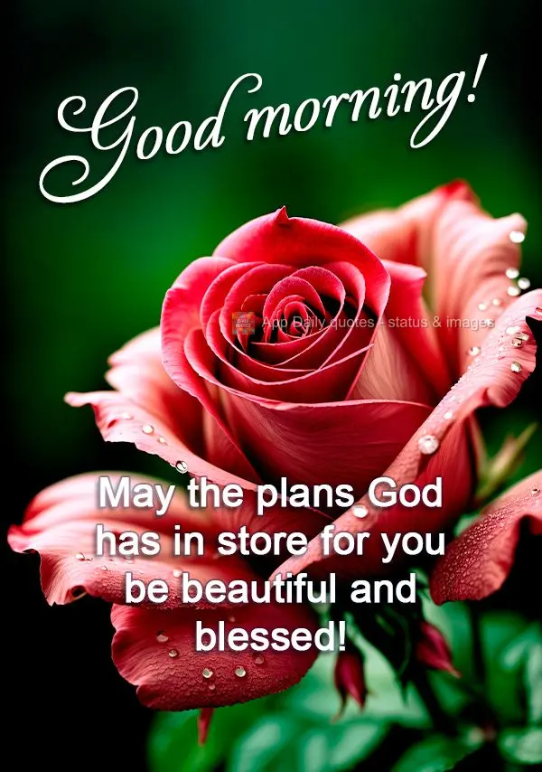 May the plans God has in store for you be beautiful and blessed! Good morning!