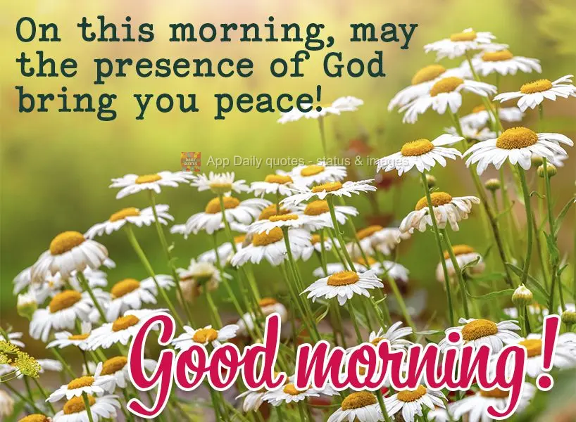 May the presence of God bring you peace this morning! Good morning!
