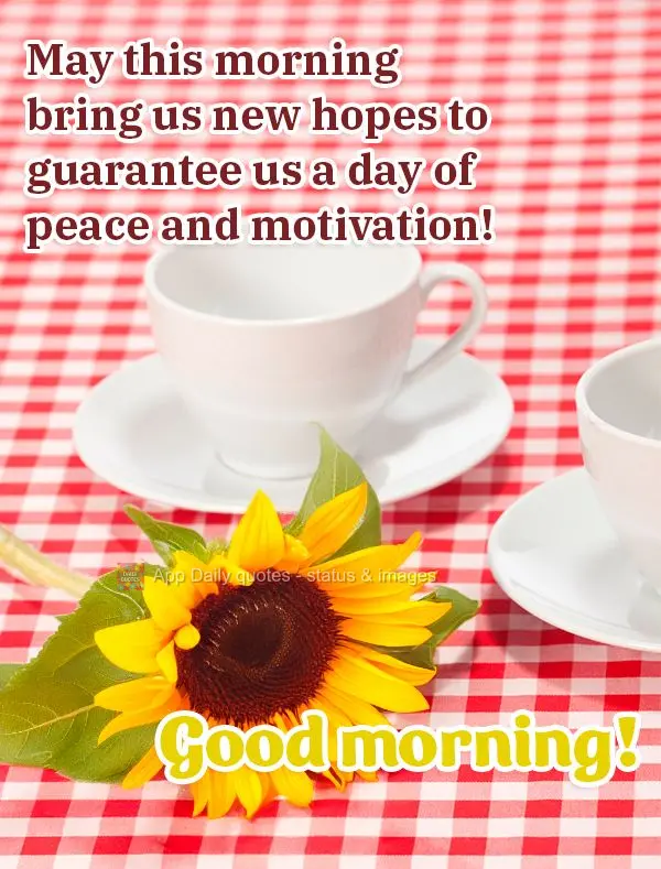 May this morning bring us new hopes to guarantee us a day of peace and motivation! Good morning!