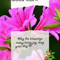 May today's blessings bring you joy. May your day be peaceful and your heart full of love. May you be grateful wherever you go! Good morning!