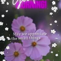 May we appreciate the small things this morning, embrace our dreams with all our might, and dedicate ourselves ever more to making each one of them come ...