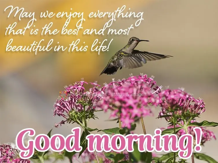 May we enjoy everything that is the best and most beautiful in this life! Good morning!