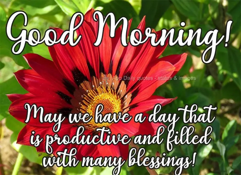 May we have a day that is productive and filled with many blessings!  Good morning! 