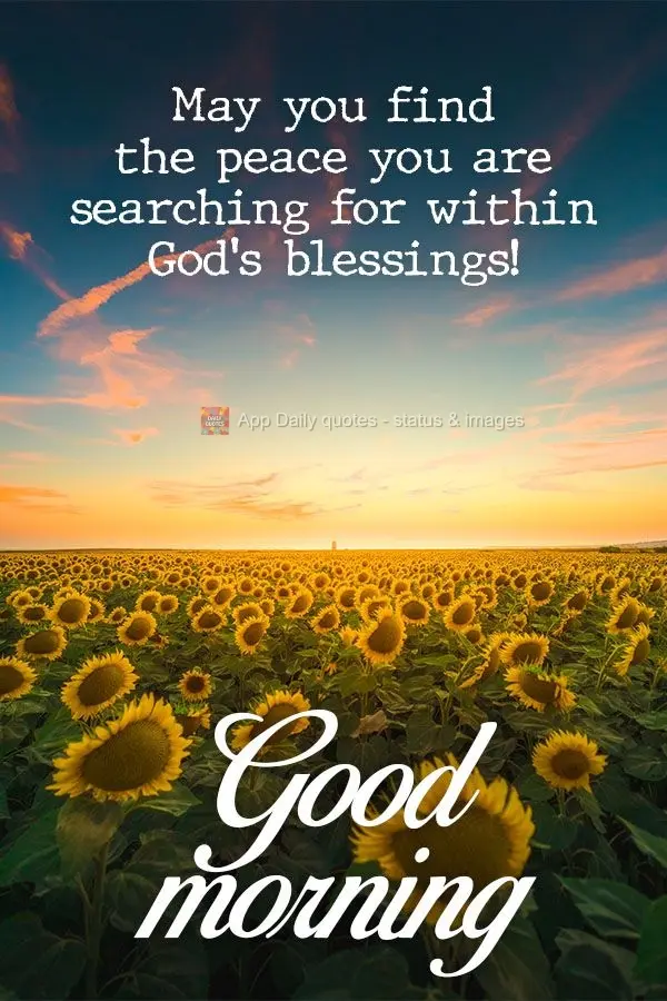 May you find the peace you are searching for within God's blessings!  Good morning 