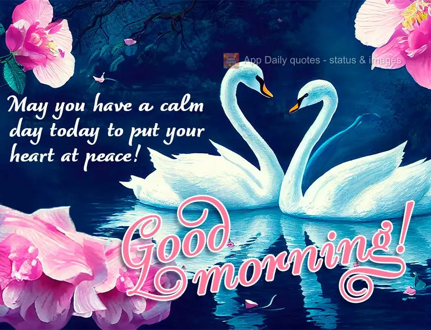 May you have a calm day to put your heart at peace today! Good morning