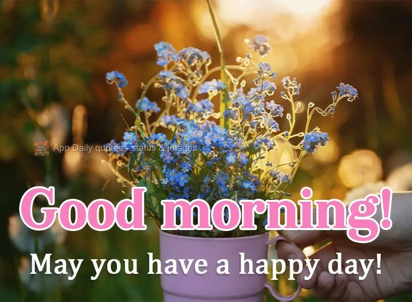 May you have a happy day!  Good morning! 