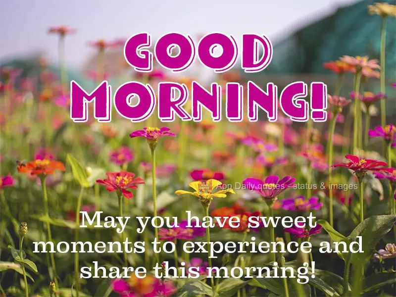 May you have sweet moments to experience and share this morning! Good morning!