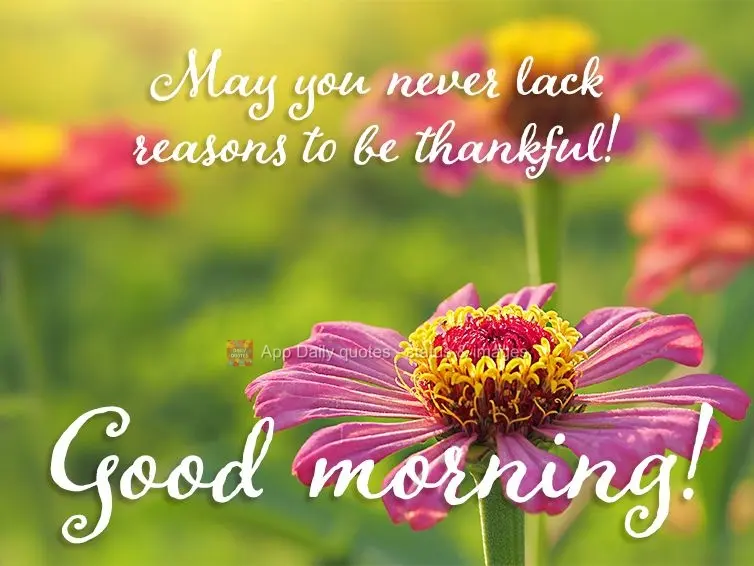 May you never lack reasons to be thankful! Good morning!