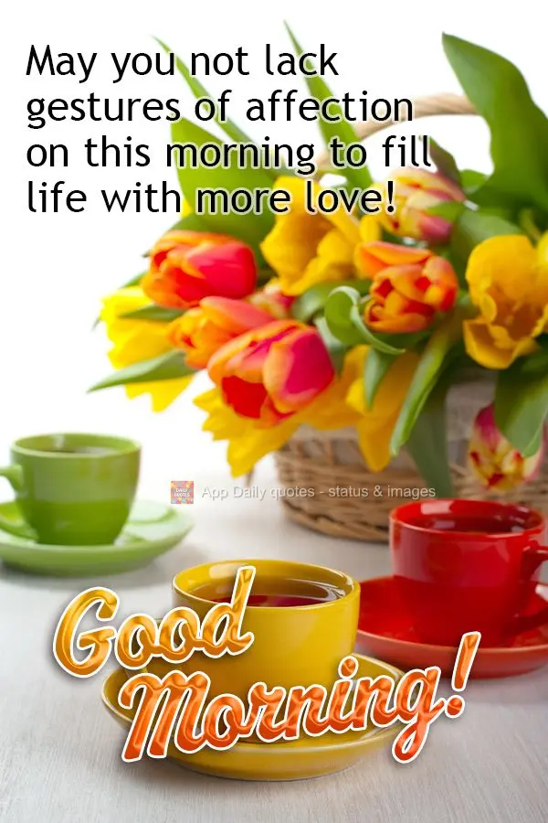 May you not lack gestures of affection on this morning to fill life with more love! Good morning!