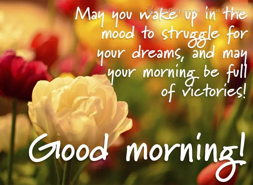 May you wake up in the mood to fight for your dreams, and may your morning be full of victories! Good morning!