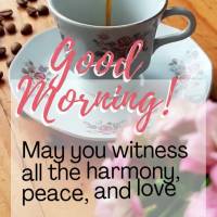 May you witness all the harmony, peace, and love that can fit inside your heart this morning. Good morning!