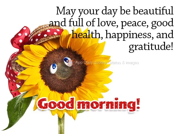 May your day be beautiful and full of love, peace, good health, happiness, and gratitude! Good morning! 