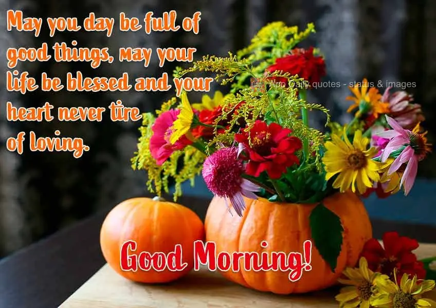 May your day be full of good things. May your life be blessed and your heart never tire of loving.  Good Morning!