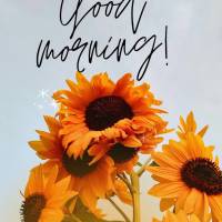 May your day be full of love, peace, and plenty of motivation! Good morning!