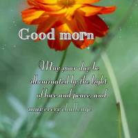 May your day be illuminated by the light of love and peace, and may every challenge be overcome with effort and determination. Good morning!