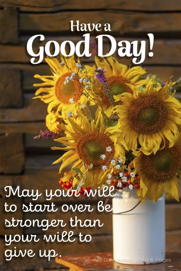 May your will to start over be stronger than your will to give up. Have a good day!