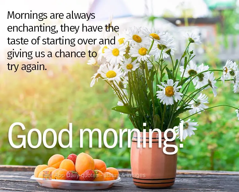 Mornings are always enchanting, they give us a fresh start, a chance to try again. Good morning!