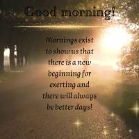 Mornings exist to show us that there is a new beginning for exerting and there will always be better days! Good morning!