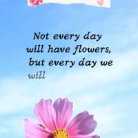 Not every day will have flowers, but every day we will have faith! Good morning!