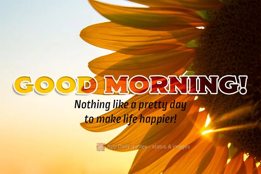Nothing like a pretty day to make life happier! Good morning!