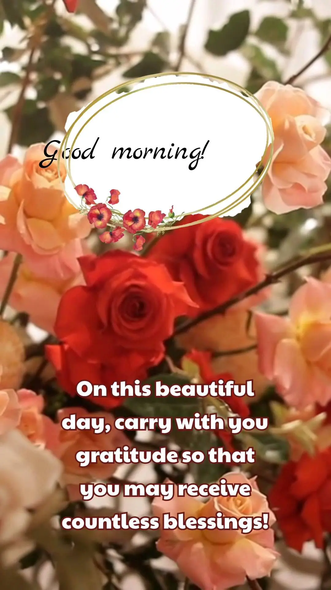 On this beautiful day, carry with you gratitude so that you may receive countless blessings! Good morning!